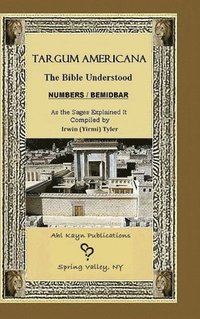 bokomslag Targum Americana The Bible Understood BeMidbar - Numbers
