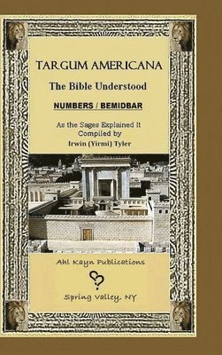bokomslag Targum Americana The Bible Understood BeMidbar - Numbers