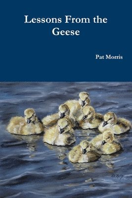 Lessons From the Geese 1