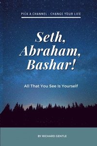 bokomslag Seth, Abraham, Bashar!