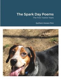 bokomslag The Spark Day Poems