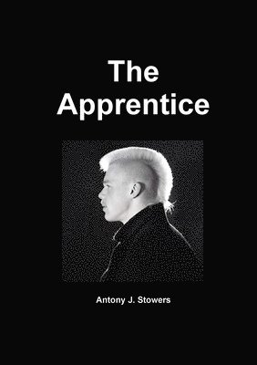 bokomslag Apprentice
