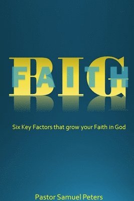 bokomslag BIG Faith: Six Key Factors that Grow Your Faith in God