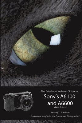 Gary L. Friedman - The Friedman Archives Guide to Sony's Alpha 6100 and 6600 (B&W Edition), Häftad