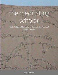 bokomslag The meditating scholar