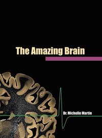 bokomslag The Amazing Brain