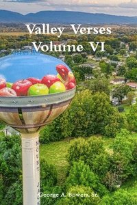 bokomslag Valley Verses Volume VI