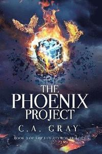 bokomslag The Phoenix Project