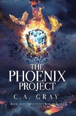 The Phoenix Project 1