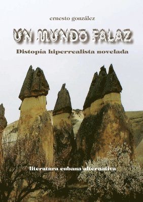 bokomslag Un mundo falaz