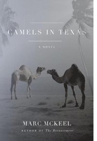 bokomslag Camels in Texas