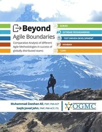 bokomslag Beyond Agile Boundaries