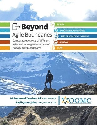 bokomslag Beyond Agile Boundaries