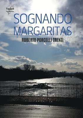 bokomslag Sognando Margaritas