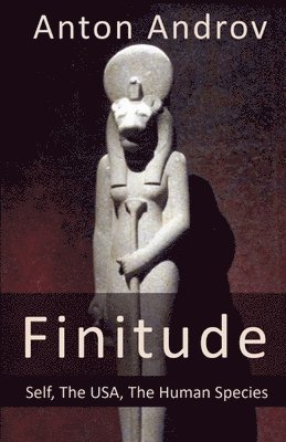 bokomslag Finitude