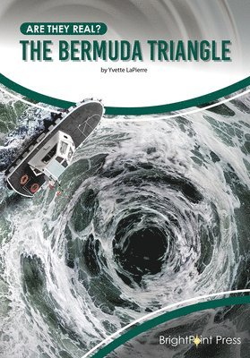 bokomslag The Bermuda Triangle