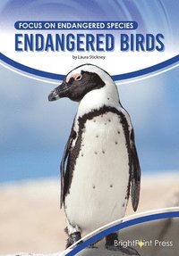 bokomslag Endangered Birds