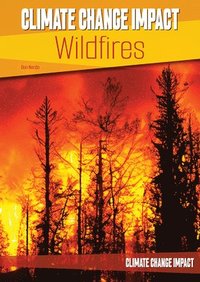 bokomslag Climate Change Impact: Wildfires