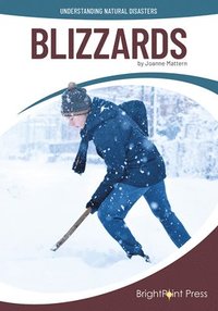 bokomslag Blizzards