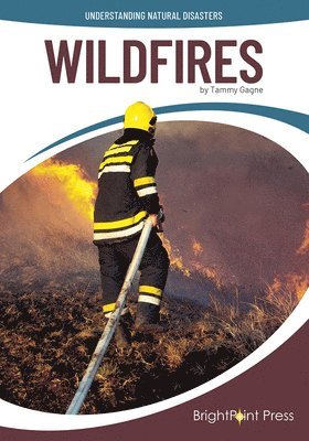 Wildfires 1