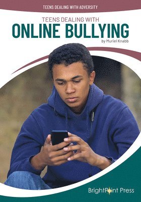 bokomslag Teens Dealing with Online Bullying