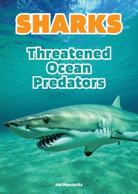 Hal Marcovitz - Sharks: Threatened Ocean Predators, Inbunden