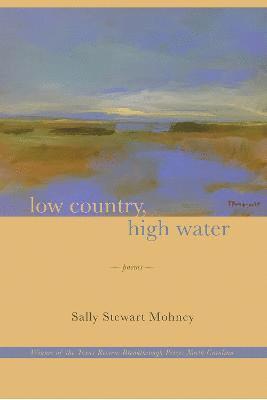 Sally Stewart Mohney - Low Country, High Water, Häftad