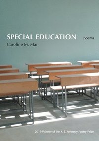 bokomslag Special Education