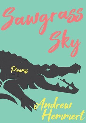 Andrew Hemmert - Sawgrass Sky, Häftad