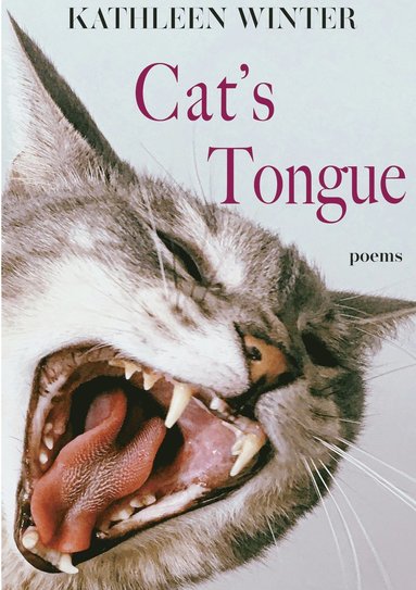 bokomslag Cat's Tongue