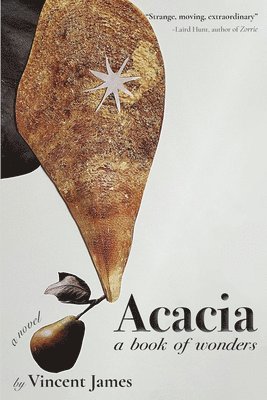 bokomslag Acacia, a Book of Wonders