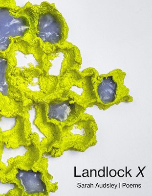 bokomslag Landlock X