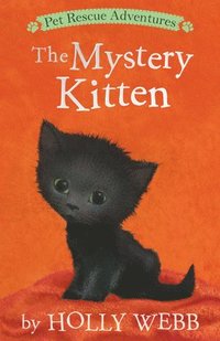 bokomslag Mystery Kitten