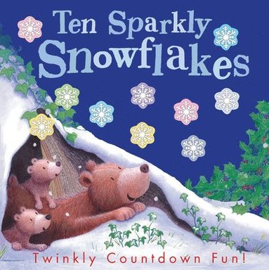 bokomslag Ten Sparkly Snowflakes: Twinkly Countdown Fun!