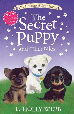 Holly Webb - The Secret Puppy and Other Tales: The Lost Puppy; The Secret Puppy; Leo All Alone, Häftad