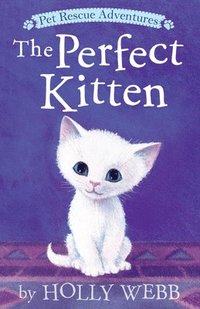 bokomslag The Perfect Kitten
