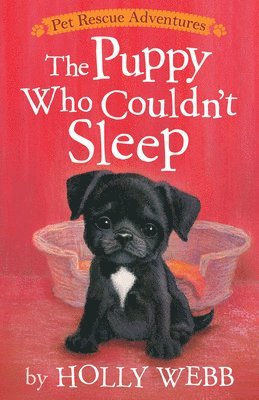 Holly Webb - The Puppy Who Couldn't Sleep, Häftad