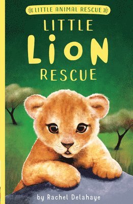 Rachel Delahaye - Little Lion Rescue, Häftad