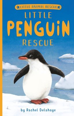 Rachel Delahaye - Little Penguin Rescue, Häftad