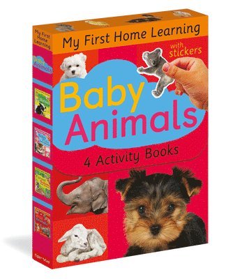 Tiger Tales - Baby Animals: 4 Activity Book Boxed Set with Stickers, Häftad