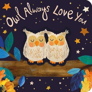 Patricia Hegarty - Owl Always Love You, Kartonnage