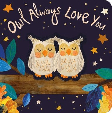 bokomslag Owl Always Love You