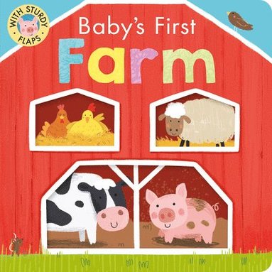 bokomslag Baby's First Farm