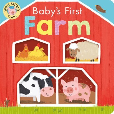 Baby's First Farm 1