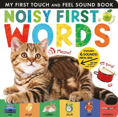 Libby Walden - Noisy First Words, Kartonnage