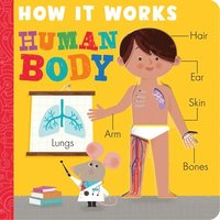 bokomslag How It Works: Human Body