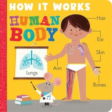 Amelia Hepworth - How it Works: Human Body, Kartonnage