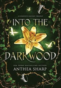 bokomslag Into the Darkwood
