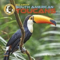 Lisa Petrillo - All about South American Toucans, Inbunden