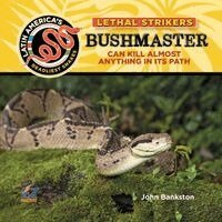 John Bankston - Bushmaster Snake: Can Kill Almost Anything in Its Path, Inbunden